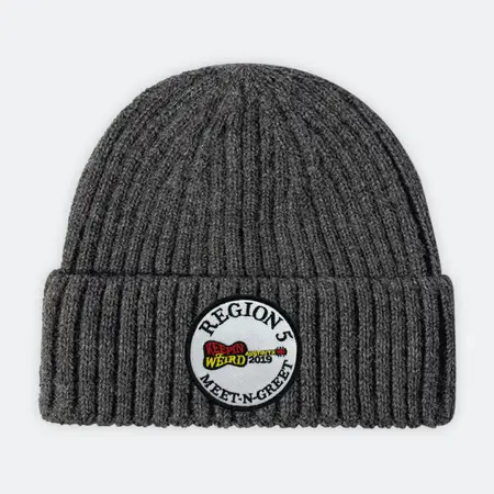 Ritzy Wool Fiber Beanies