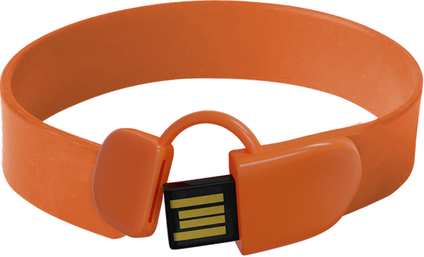 Wristband USB